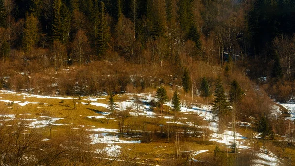 A csodálatos hegyi táj, zöld erdő és a kék ég, Nyugat-Ukrajna — Stock Fotó