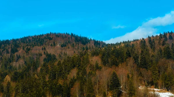 Magnifico paesaggio montano con foresta verde e cielo blu dell'Ucraina occidentale — Foto Stock