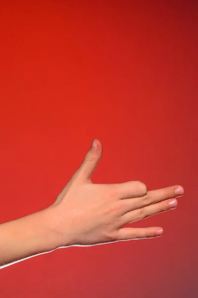 Ανθρώπινο χέρι, απομονωμένες πάνω σε κόκκινο φόντο δείχνει σημάδι του σκυλιού, που συμβολίζει τη φιλία του ζώου και ανθρώπου — Φωτογραφία Αρχείου