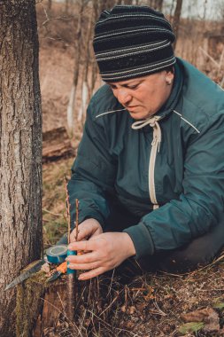 Kadın, bahçedeki rutubeti yakın planda tutmak için gref ağacını yalıtkan bir bantla sarar.
