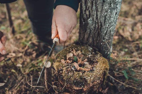 Uma mulher corta uma árvore jovem com uma faca para a inoculação do ramo da fruta — Fotografia de Stock