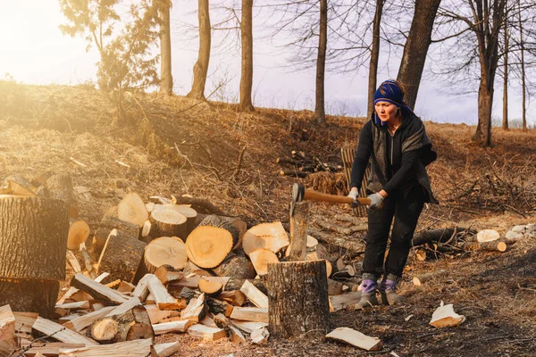 A rural woman shoots an ash tree wood for harvesting for the winter with an ax
