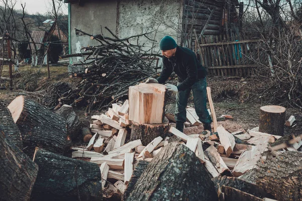 A strong man harvests firewood for the winter in the back yard of the house cutting the big and sturdy grass tree — Stock Photo, Image