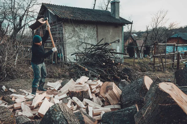 Un hombre frío cosecha madera para el frío invierno cortando un espeso y sólido fresno —  Fotos de Stock