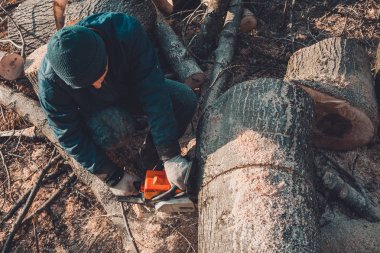Kış için odun hasat, gözlüklü bir adam elinde tutan testere bir ağaç kesti