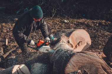 Gözlük güzel genç kadın kış için odun üzerinde kül büyük bir ağaç keser