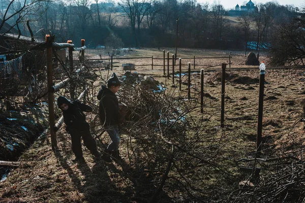 Kinder helfen bei der Ernte von Brennholz für den Winter und schirmen Äste vom Baum ab — Stockfoto