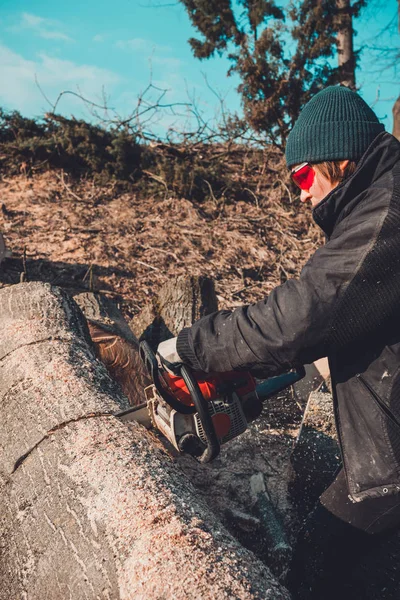 Menina rural jovem cortou uma motosserra de árvore em luvas, cozinhe lenha para o inverno — Fotografia de Stock
