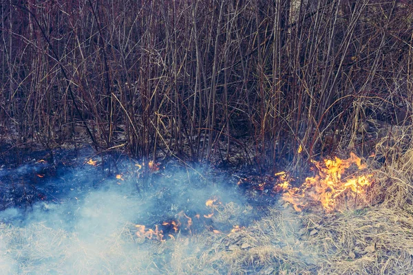 Houská tráva a kouř, který se šíří po zemi, je pro lidské zdraví velmi nebezpečný — Stock fotografie