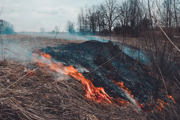 Řekněme přestaňte pálit suchou trávu, je to nebezpečné — Stock fotografie