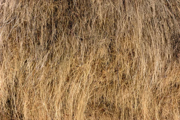 Primo piano di una balla giallo paglierino dorato mostrando consistenza e perde paglie — Foto Stock