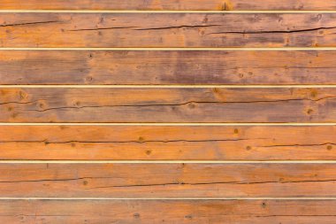 Ağaçların dokusu, ağaçlar evin duvarı.