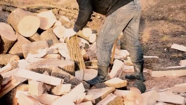 Een Sterke Man Oogsten Brandhout Voor Winter Achtertuin Van Het — Stockvideo
