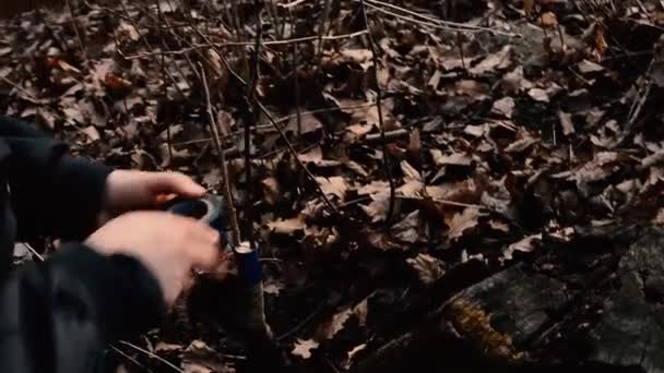 Donna Una Crepa Nel Giovane Albero Appena Tagliato Sua Vaccinazione — Video Stock