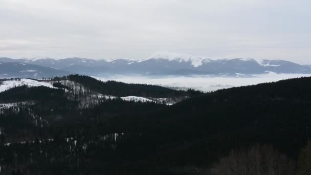Majestueus Natuurlandschap Het Winterseizoen Blauwe Bergketen Zonsondergang Felle Kleuren Bukovel — Stockvideo