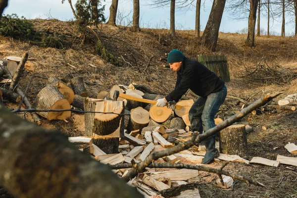 A chilly man harvests wood for cold winter cutting a thick solid ash tree — Stock Photo, Image