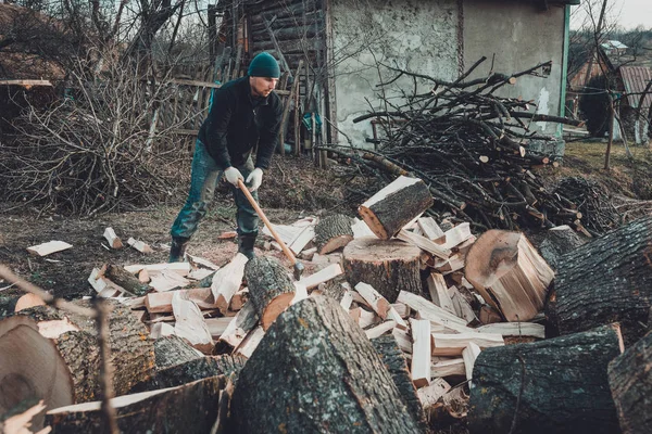 Сильний чоловік збирає дрова на зиму на задньому подвір'ї будинку, вирізаючи велику і міцну траву — стокове фото