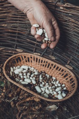 Satılık Market sepette beyaz fasulye.