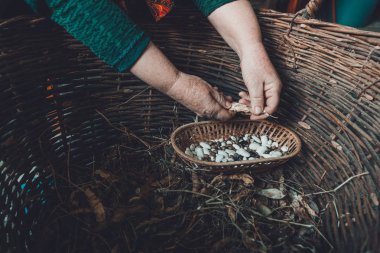 Siyah arka planda beyaz fasulyeler, tahta bir sepetin içinde..