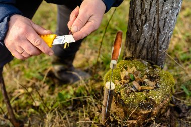 Bir kadın bahçıvan ağaç aşı için bir klip keskin bir bıçakla keser.