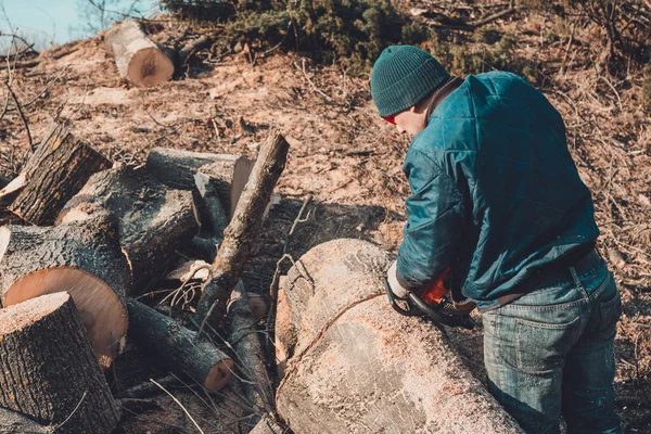 Лесоруб спилил дерево из ясеня бензопилой и готовится к зиме — стоковое фото