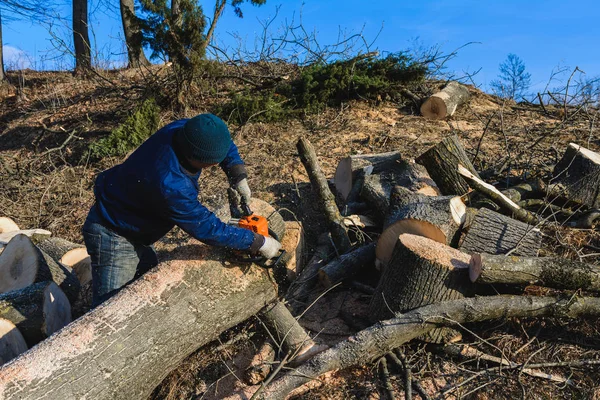 लकड़हारा राख के पेड़ को चेनसाउ से लकड़ी तक काटता है, और सर्दियों की अवधि के लिए तैयार करता है — स्टॉक फ़ोटो, इमेज