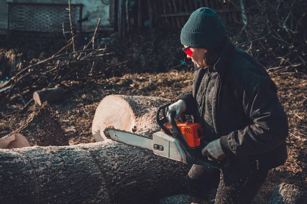 Mulher bonita em óculos corta uma grande árvore de cinzas na madeira para o inverno — Fotografia de Stock