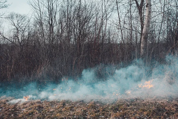 Trawa grzybową i dym, który rozprzestrzenia się po ziemi są bardzo niebezpieczne dla zdrowia ludzkiego — Zdjęcie stockowe