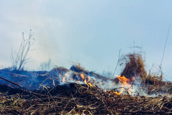 Tráva hoří, jehož oheň ničí všechno v cestě — Stock fotografie