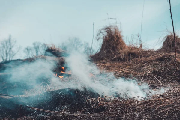 Трава горить, вогонь якої руйнує все на своєму шляху — стокове фото