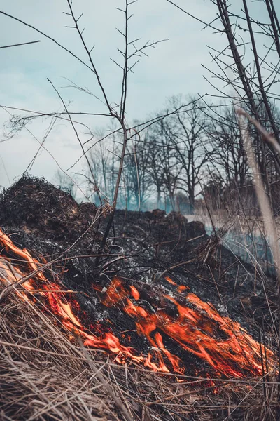 Tráva hoří, jehož oheň ničí všechno v cestě — Stock fotografie