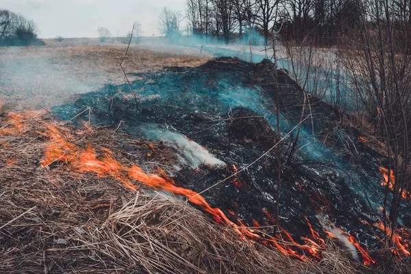 Řekněme přestaňte pálit suchou trávu, je to nebezpečné — Stock fotografie