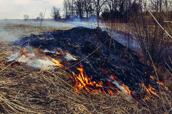 Řekněme přestaňte pálit suchou trávu, je to nebezpečné — Stock fotografie