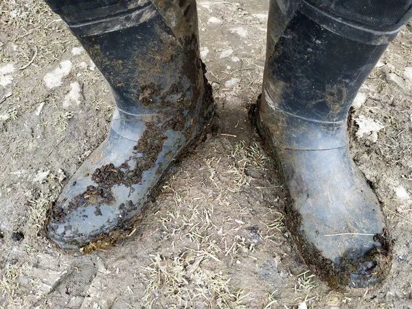 Visão superior das pernas em botas pretas de borracha suja escura ou wellingtons na lama e argila e esterco — Fotografia de Stock