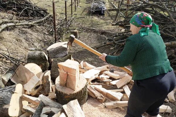An old woman of a tavern shakes a firewood with an ax in the yard, prepares them for the winter.