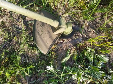 Yakın çekimde elektrikli biçme çimlerinin ve fırtınaların kabuğunu görebilirsiniz..