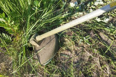 Trimmer bahçede çim ve otlar yaz biçiyor, yakın çekim.