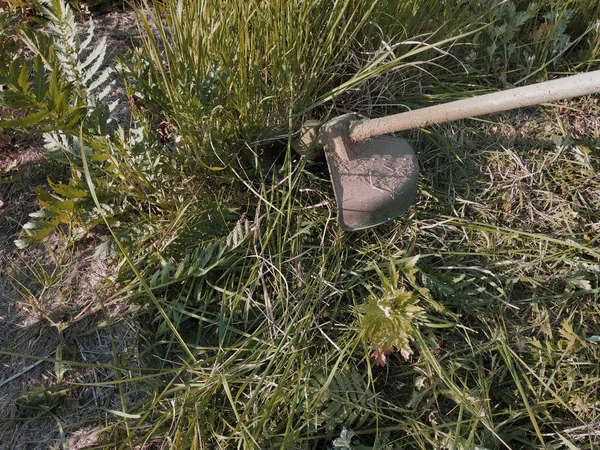 Tondeuse fauche l'herbe et les mauvaises herbes été dans le jardin, gros plan . — Photo