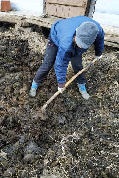 Kobieta na wsi wybiera obornik z pit wczesną wiosną do miasta. — Zdjęcie stockowe