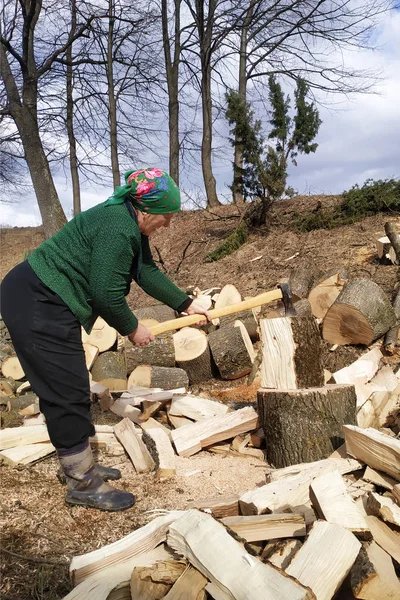 Uma mulher idosa rasga madeira com um machado, ele prepara lenha para o inverno . — Fotografia de Stock