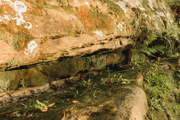 Rio Cárpatos com grandes rochas nas margens, belo fluxo natural do rio . — Fotografia de Stock