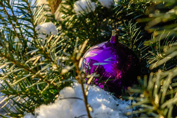 Weihnachtsbaum in Weihnachtskugeln, im ukrainischen Dorf im Schnee erstickt — Stockfoto