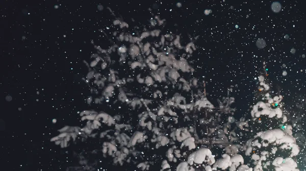 Bokeh nieve y abeto cubierto de nieve en la noche, textura hermosa . —  Fotos de Stock