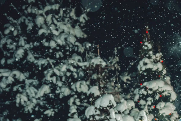 La neve viene dal cielo la notte di Natale e piove gli alberi di Natale — Foto Stock