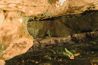 Kıyılarda büyük kayalar ile Karpat nehri, nehrin güzel doğal dere.