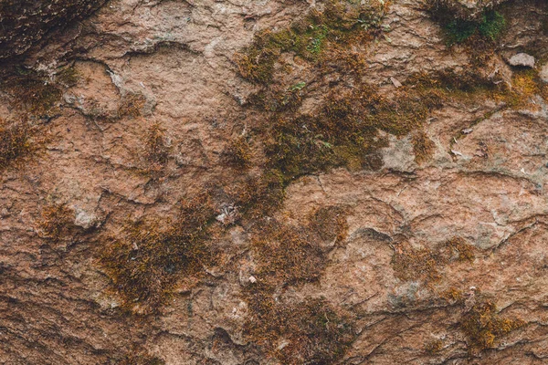 Beautiful texture of large moss covered stone. — Stock Photo, Image