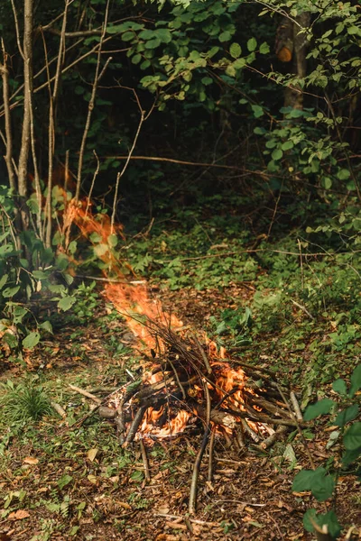 Разведение костра в лесу для пикника, текстуры и фона . — стоковое фото