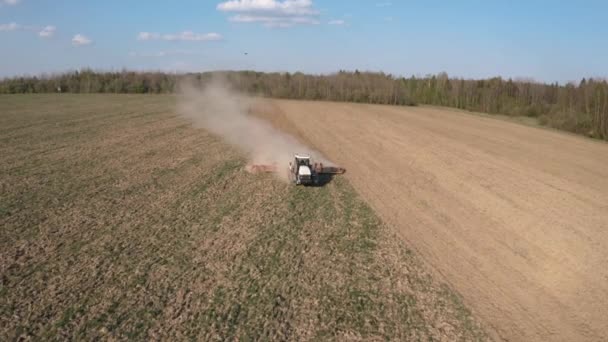 Widok z przodu ciągnika gąsienicowego podczas siewu. Zgniatająca gleba na polu. Nagranie 4k. Bocian krąży wokół. — Wideo stockowe