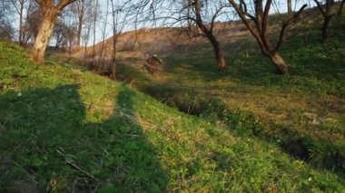 Genç bir çocuk, beyaz safkan bir köpekle bahçede koşuyor. Parkta yürüyen hayvanlar..