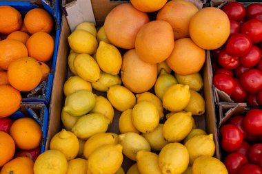 Portakallar ve limonlar, 2021 açık şehir pazarındaki bir dükkanın vitrininde kutulara kapanıyor..